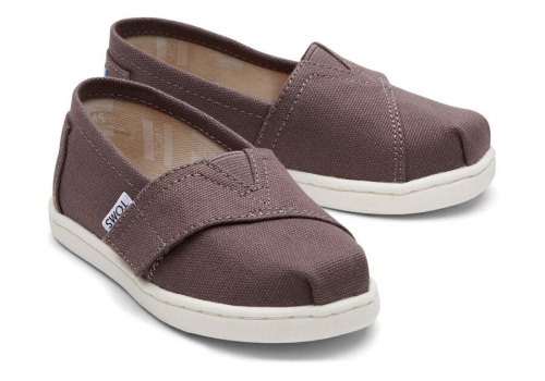 Ash Kids' Toms Tiny Alpargata Canvas Alpargatas Ireland | IE977-722