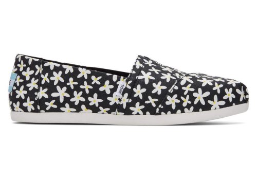 Black Sun Daisies Women's Toms Alpargata Sun Daises Alpargatas Ireland | IE355-193