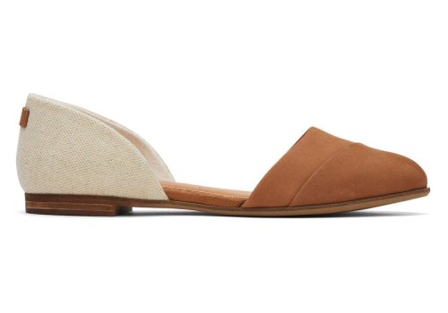 Brown Sugar Women's Toms Jutti D'Orsay Flat Flat Shoes Ireland | IE798-295