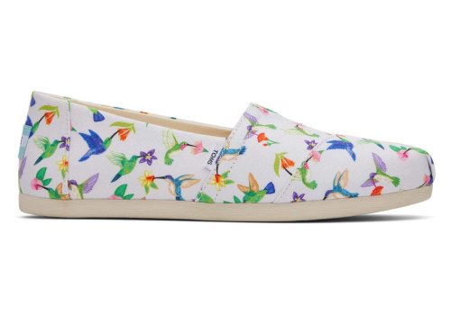 Cloud Grey Hummingbirds Women's Toms Alpargata Hummingbirds Alpargatas Ireland | IE298-883