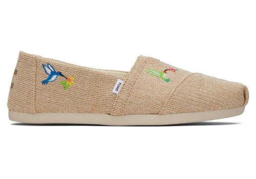 Embroidered Hummingbirds Women's Toms Alpargata Hummingbirds Alpargatas Ireland | IE073-368