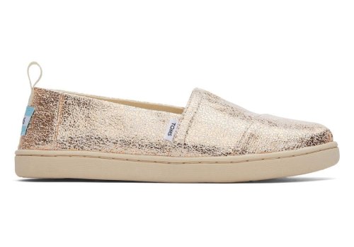 Gold Foil Kids' Toms Youth Alpargata Foil Alpargatas Ireland | IE723-687