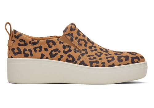 Leopard Women's Toms Tristan Slip On Sneaker Sneakers Ireland | IE250-816