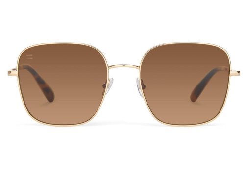 Shiny Yellow Gold- Solid Brown Women's Toms Nova Sunglasses Ireland | IE685-683