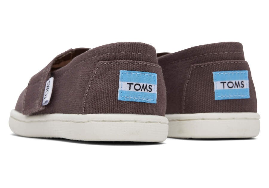 Ash Kids' Toms Tiny Alpargata Canvas Alpargatas Ireland | IE977-722