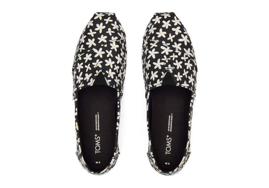 Black Sun Daisies Women's Toms Alpargata Sun Daises Alpargatas Ireland | IE355-193