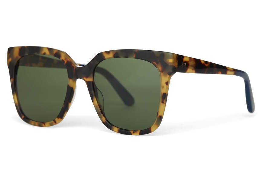 Blonde Tortoise - Bottle Green Polar Women's Toms Natasha Sunglasses Ireland | IE568-777