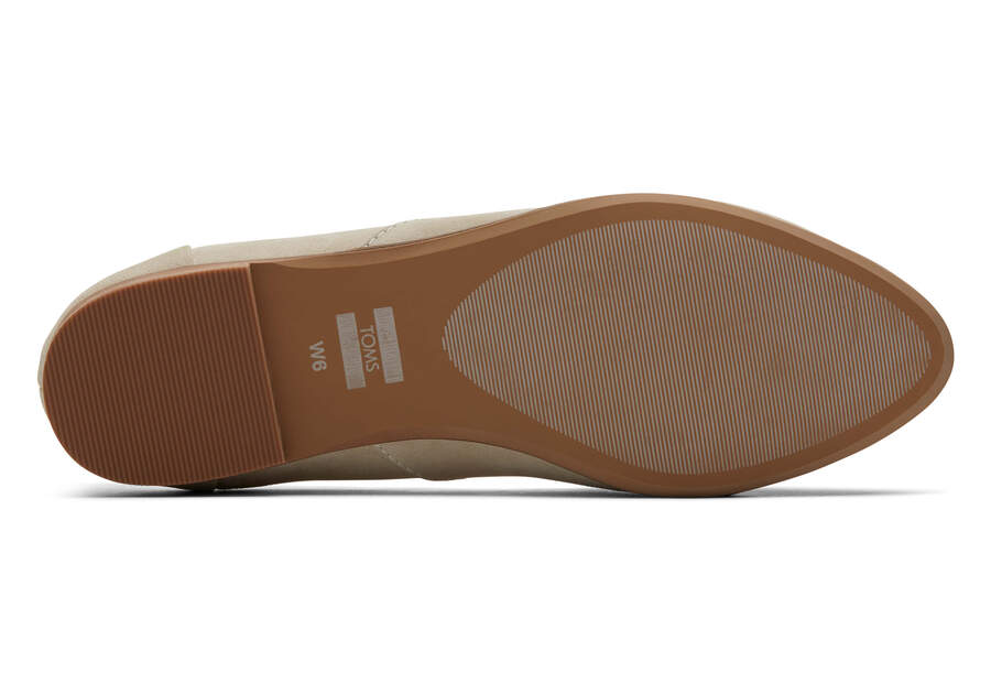 Brown Women's Toms Jutti Neat Flat Flat Shoes Ireland | IE440-003