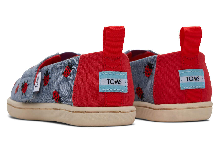 Chambray Kids' Toms Tiny Alpargata Lucky Ladybugs Alpargatas Ireland | IE717-200