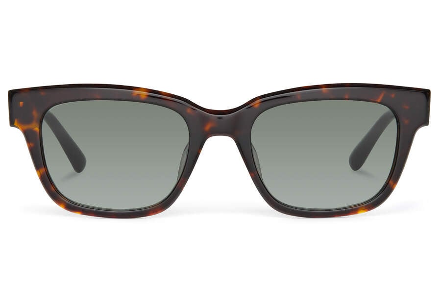 Dark Tortoise-green Grey Men\'s Toms Holland Sunglasses Ireland | IE823-491