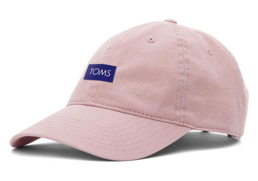 Dusty Rose Men's Toms Logo Dad Hat Accessories Ireland | IE721-149