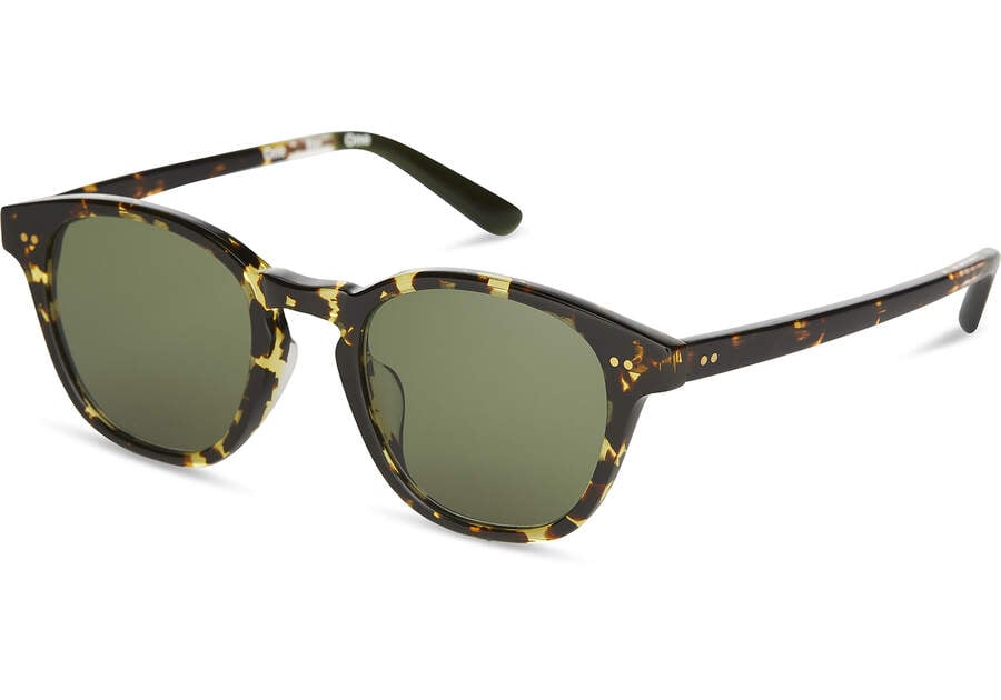 Eco Havana Tortoise - Glass Bottle Green Men's Toms Wyatt Sunglasses Ireland | IE034-432