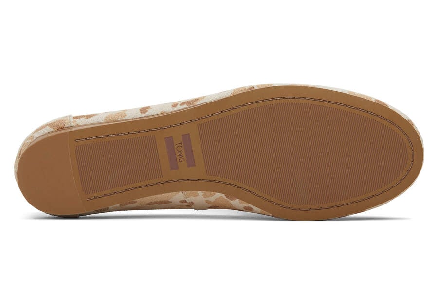 Honey Beige Women's Toms Darcy Flat Flat Shoes Ireland | IE920-785