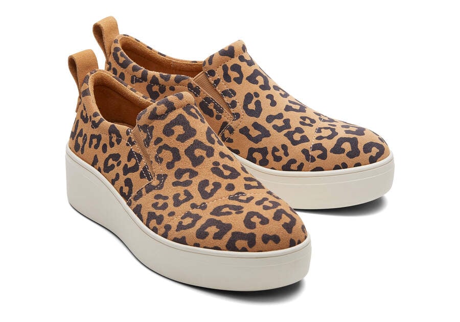 Leopard Women's Toms Tristan Slip On Sneaker Sneakers Ireland | IE250-816