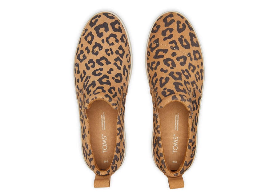 Leopard Women's Toms Tristan Slip On Sneaker Sneakers Ireland | IE250-816