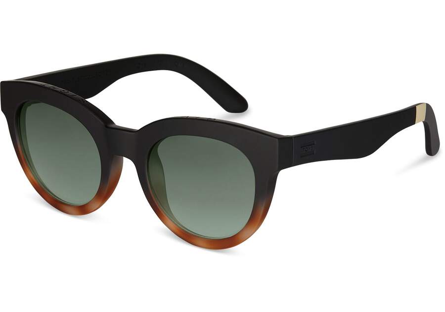 Matte Black - Glass Bottle Green Women's Toms Florentin Sunglasses Ireland | IE971-688