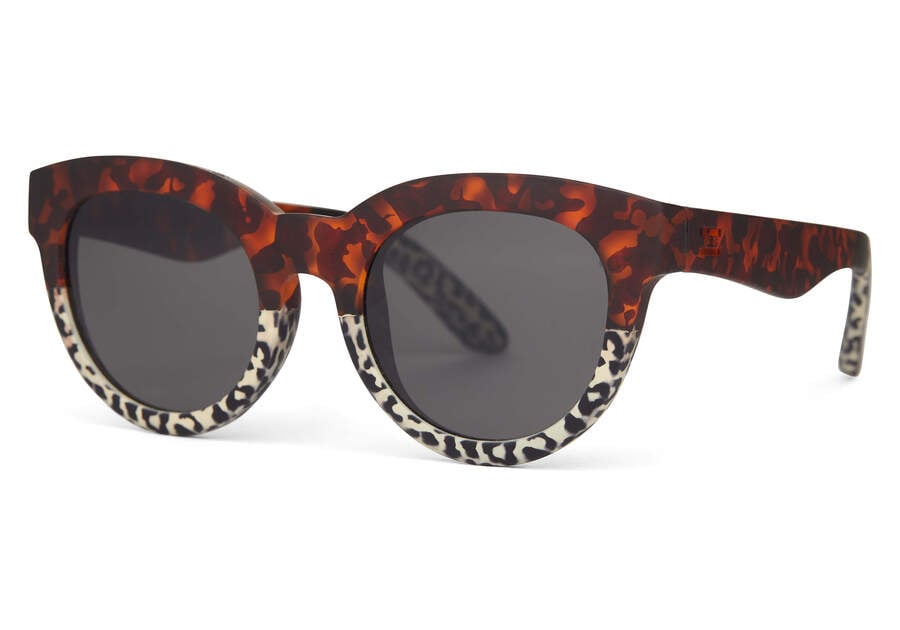 Matte Blonde Tort Cheetah-dark Grey Men's Toms Florentin Sunglasses Ireland | IE763-776