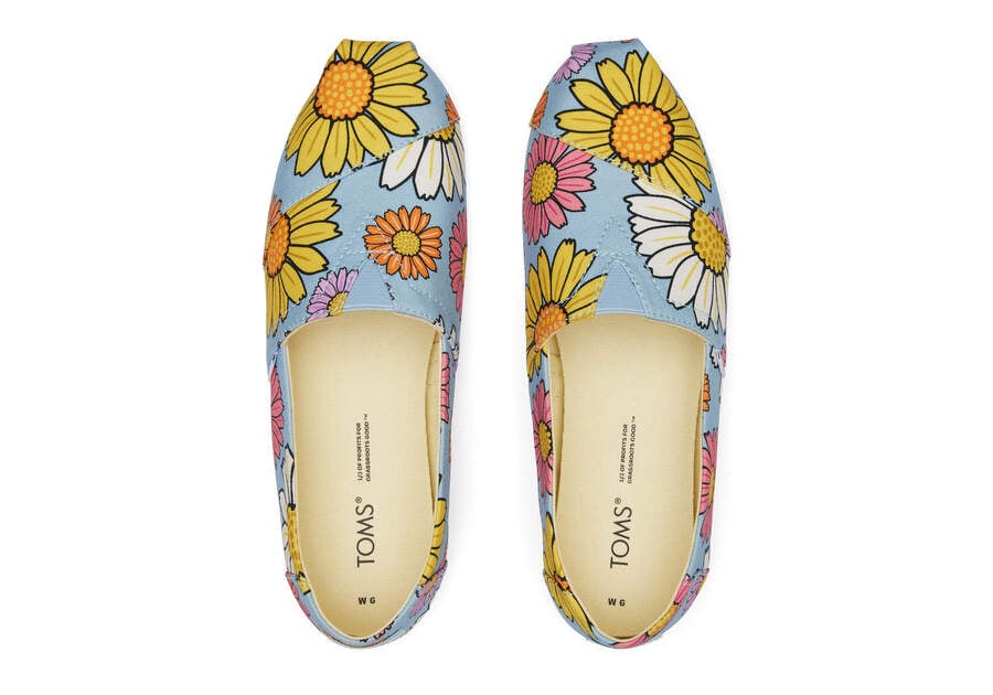 Pastel Blue Daisies Women's Toms Alpargata Daisies Alpargatas Ireland | IE599-059